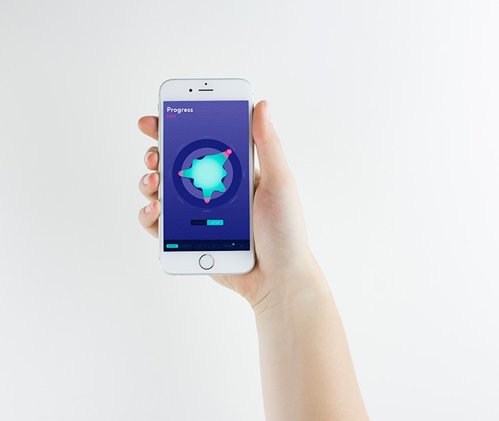 Large-Scale Theme-Park Global Entertainment Company